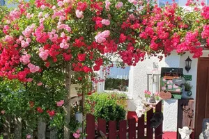 Austria Tyrol Hofen vacation rental compare prices direct by owner 15055566