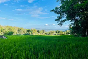 Sri Lanka Ratnapura District Belihuloya vacation rental compare prices direct by owner 35343939