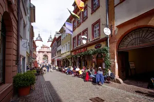 Germany Baden-Württemberg Heidelberg vacation rental compare prices direct by owner 18874171