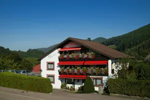 Germany Baden-Württemberg Baiersbronn vacation rental compare prices direct by owner 14213166