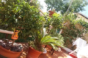 Italy Liguria La Spezia vacation rental compare prices direct by owner 18207190