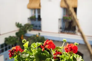 Spain Andalucía Córdoba vacation rental compare prices direct by owner 15272605