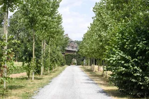 Belgium Walloon Brabant Wavre vacation rental compare prices direct by owner 27753379