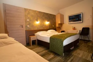 Hungary Gyor-Moson-Sopron Győr vacation rental compare prices direct by owner 14348517