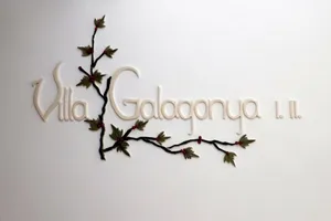 Hungary Zala Balatongyörök vacation rental compare prices direct by owner 14909286