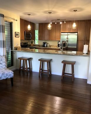 United States Hawaii Kihei vacation rental compare prices direct by owner 28455