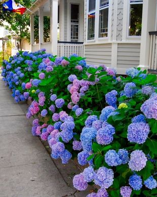 United States New Jersey Neptune Township vacation rental compare prices direct by owner 22861502