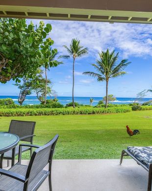 United States Hawaii Lihue vacation rental compare prices direct by owner 24875704