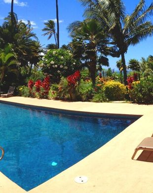 United States Hawaii Paia vacation rental compare prices direct by owner 93715