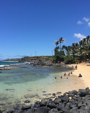 United States Hawaii Paia vacation rental compare prices direct by owner 56704