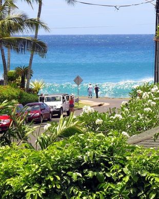 United States Hawaii Koloa vacation rental compare prices direct by owner 99398