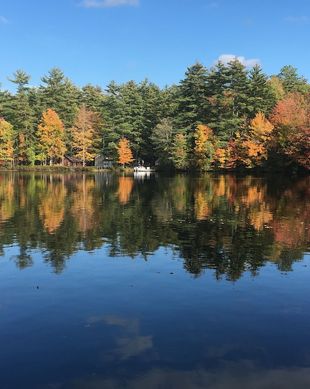 United States Maine Gray vacation rental compare prices direct by owner 24913771