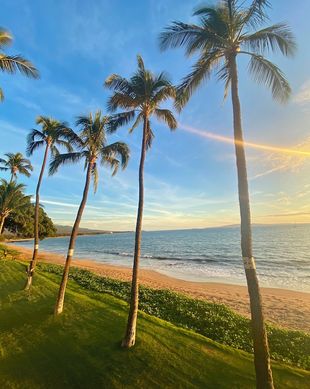United States Hawaii Kihei vacation rental compare prices direct by owner 27358