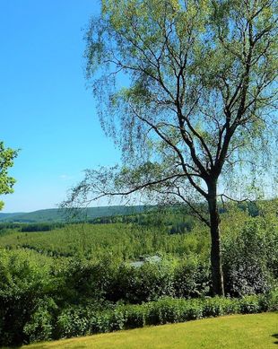 Belgium Liège Ferrières vacation rental compare prices direct by owner 4480818