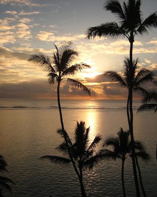 United States Hawaii Hauula vacation rental compare prices direct by owner 26759