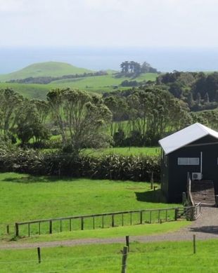 New Zealand Raglan Ruapuke Beach vacation rental compare prices direct by owner 5538975