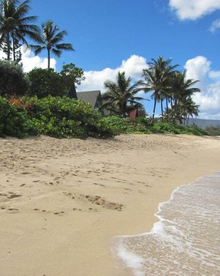 United States Hawaii Waialua vacation rental compare prices direct by owner 30130