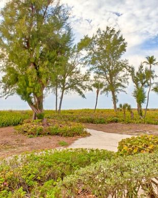 United States Florida Captiva vacation rental compare prices direct by owner 11389132