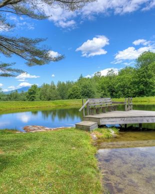 United States Vermont Jericho vacation rental compare prices direct by owner 216308