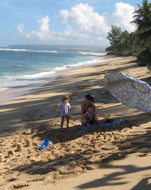 United States Hawaii Waialua vacation rental compare prices direct by owner 15703
