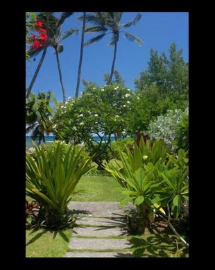 United States Hawaii Waialua vacation rental compare prices direct by owner 89406