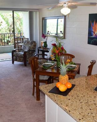 United States Hawaii Hilo vacation rental compare prices direct by owner 54345