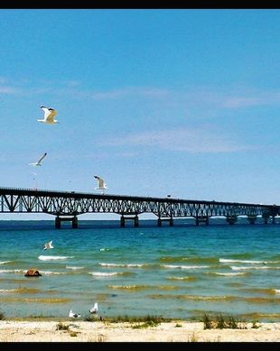 United States Michigan Mackinaw City vacation rental compare prices direct by owner 11398758