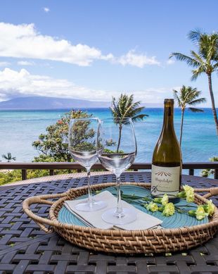 United States Hawaii Lahaina vacation rental compare prices direct by owner 97101