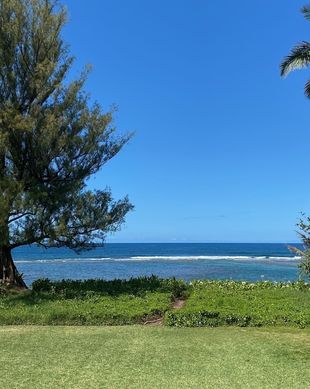 United States Hawaii Hanalei vacation rental compare prices direct by owner 2715579