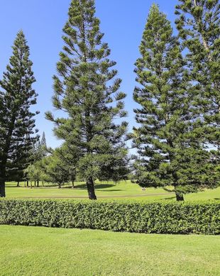 United States Hawaii Kahuku vacation rental compare prices direct by owner 19963894