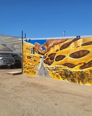 United States Nevada Pahrump vacation rental compare prices direct by owner 11457841