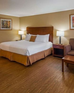 United States Vermont Bennington vacation rental compare prices direct by owner 2376938