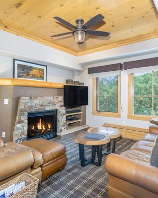 United States Colorado Telluride vacation rental compare prices direct by owner 11418048