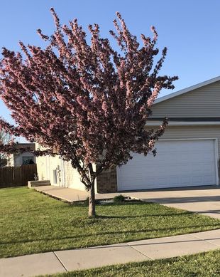 United States Minnesota Moorhead vacation rental compare prices direct by owner 12057374