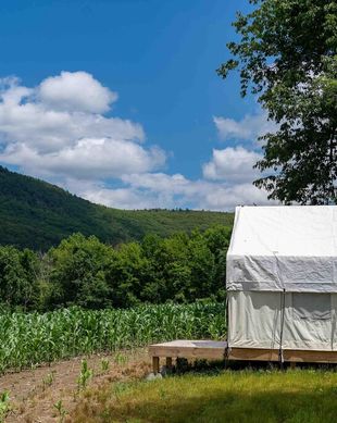 United States New York Copake vacation rental compare prices direct by owner 22518678