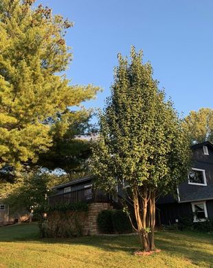 United States Missouri Camdenton vacation rental compare prices direct by owner 11643243