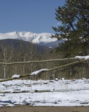 United States Colorado Black Hawk vacation rental compare prices direct by owner 24940008