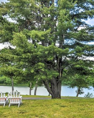 United States Maine Bath vacation rental compare prices direct by owner 13050748
