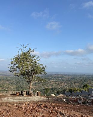 Kenya  Kwale vacation rental compare prices direct by owner 11007712