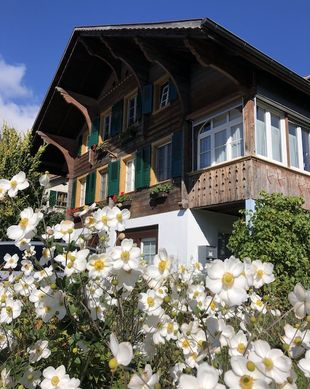 Switzerland BE Interlaken vacation rental compare prices direct by owner 13142595