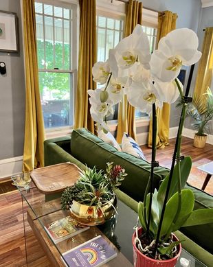 United States Ohio Akron vacation rental compare prices direct by owner 15409483