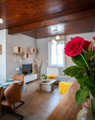 France Hauts-de-France Wittes vacation rental compare prices direct by owner 23650067