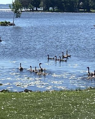 United States Wisconsin Oshkosh vacation rental compare prices direct by owner 23628689