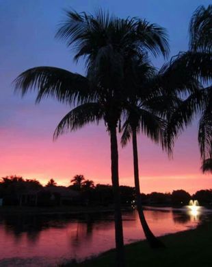 United States Florida Fort Myers Beach vacation rental compare prices direct by owner 1136228