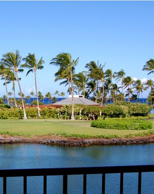 United States Hawaii Waimea vacation rental compare prices direct by owner 58064