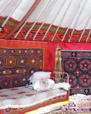 Mongolia Bayan-Ulgii Ulgii vacation rental compare prices direct by owner 7150978