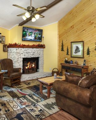 United States Tennessee Gatlinburg vacation rental compare prices direct by owner 685202
