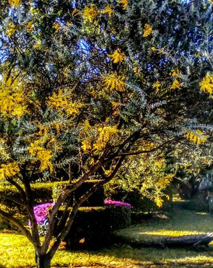 Zimbabwe Manicaland Province Mutare vacation rental compare prices direct by owner 13863730