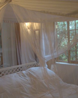 Kenya Nairobi Langata vacation rental compare prices direct by owner 6921909
