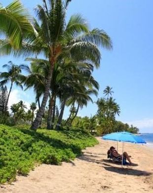 United States Hawaii Lahaina vacation rental compare prices direct by owner 99365